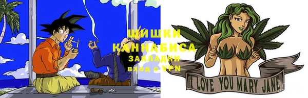 дмт Костерёво