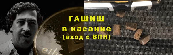 трава Коряжма