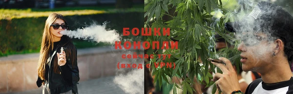 трава Коряжма