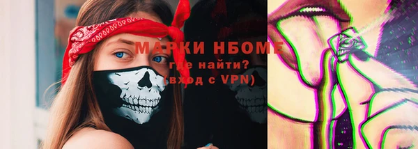 трава Коряжма