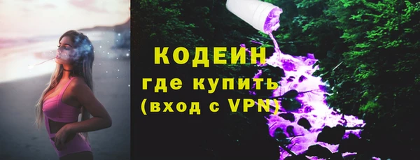 дмт Костерёво
