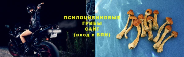 mdma Корсаков