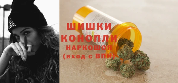 трава Коряжма