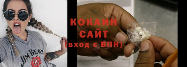трава Коряжма