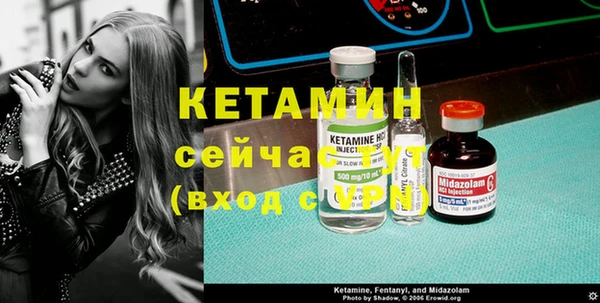 трава Коряжма
