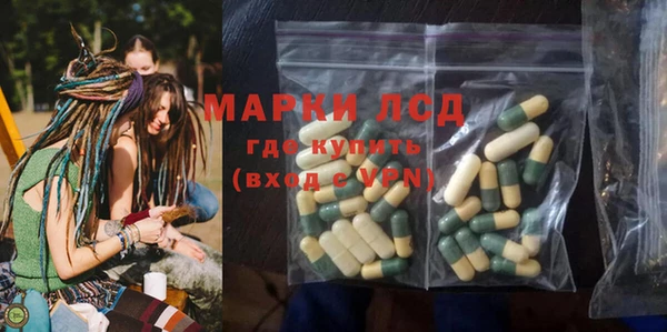 трава Коряжма