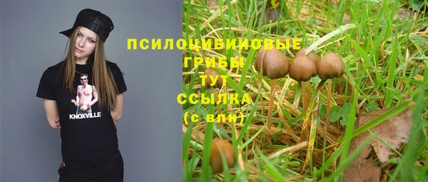 трава Коряжма