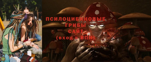 дмт Костерёво