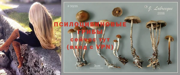 дмт Костерёво